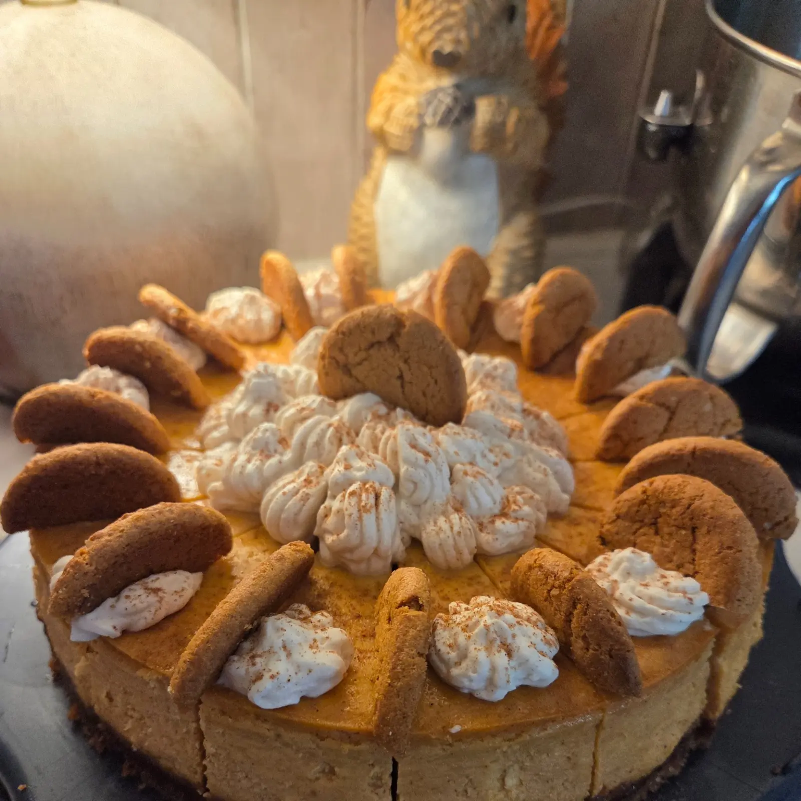 w pumpkin squirrel web